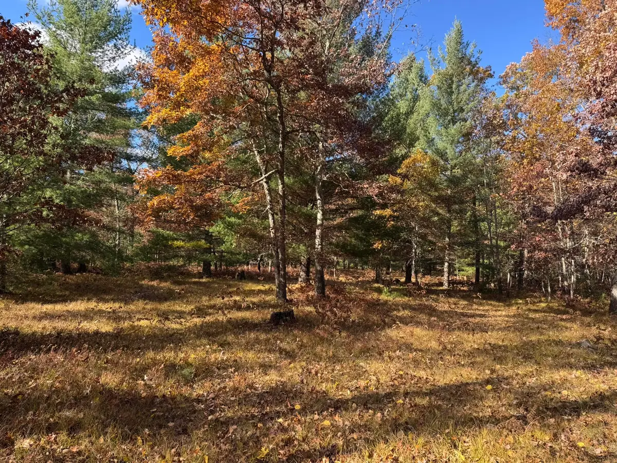Parcel 12 County Line Road, Free Soil, MI 49411 - #1