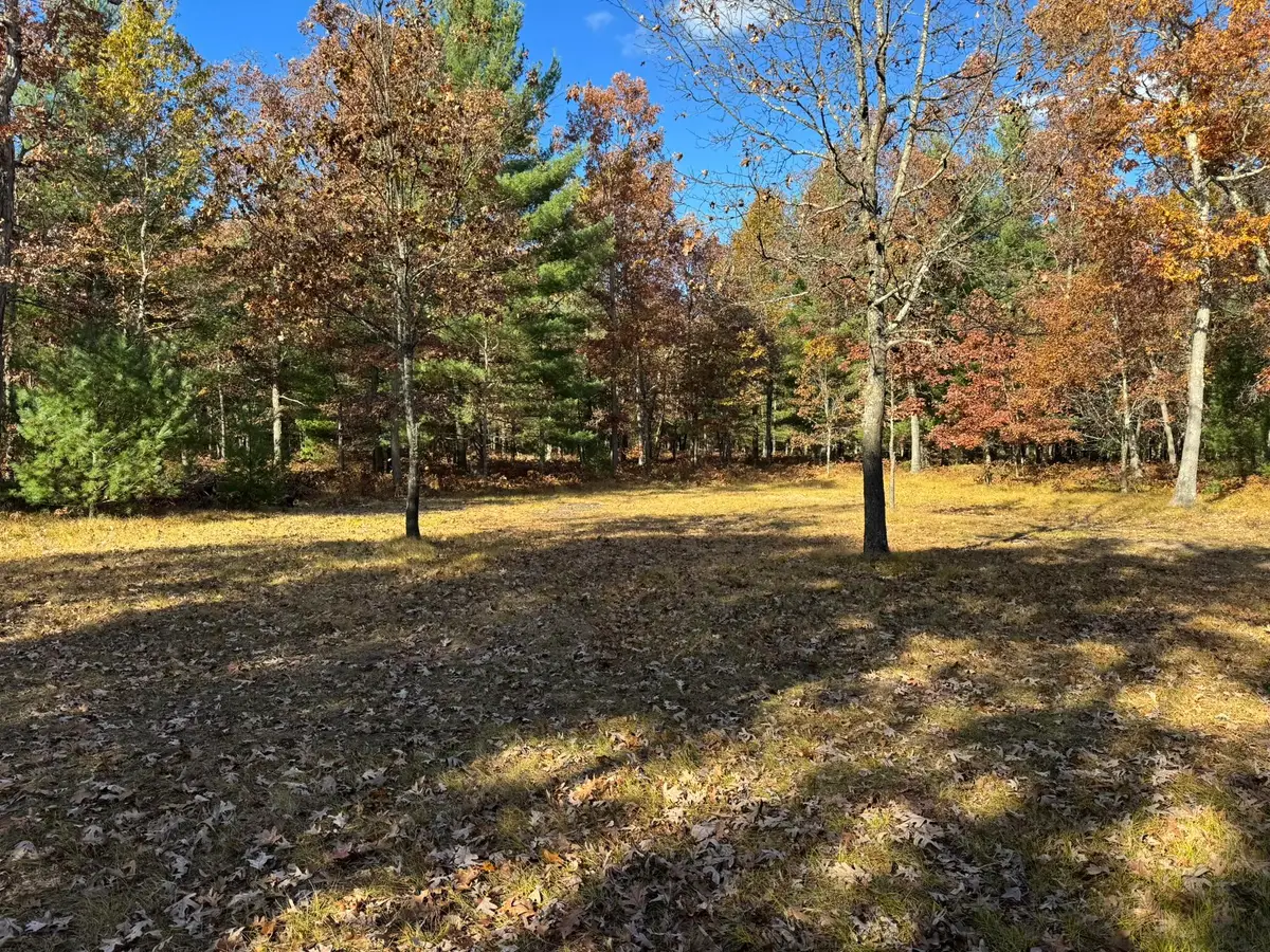 Parcel 13 County Line Road, Free Soil, MI 49411 - #1