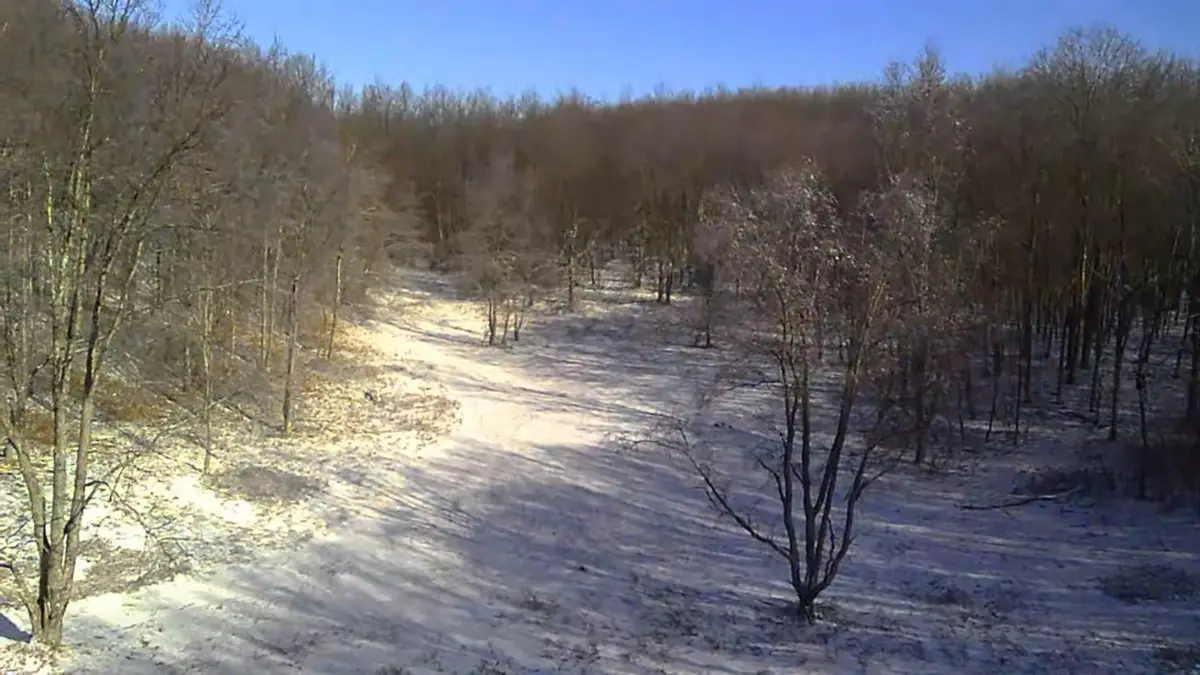 V/L 135th Avenue, Leroy, MI 49655 - #1