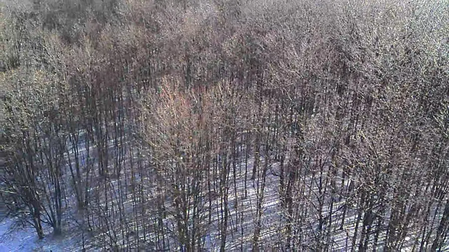 V/L 135th Avenue, Leroy, MI 49655 - #3