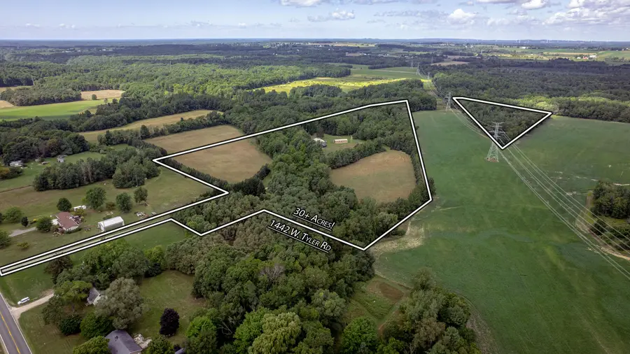 1442 W Tyler Road, Hart, MI 49420 - #3