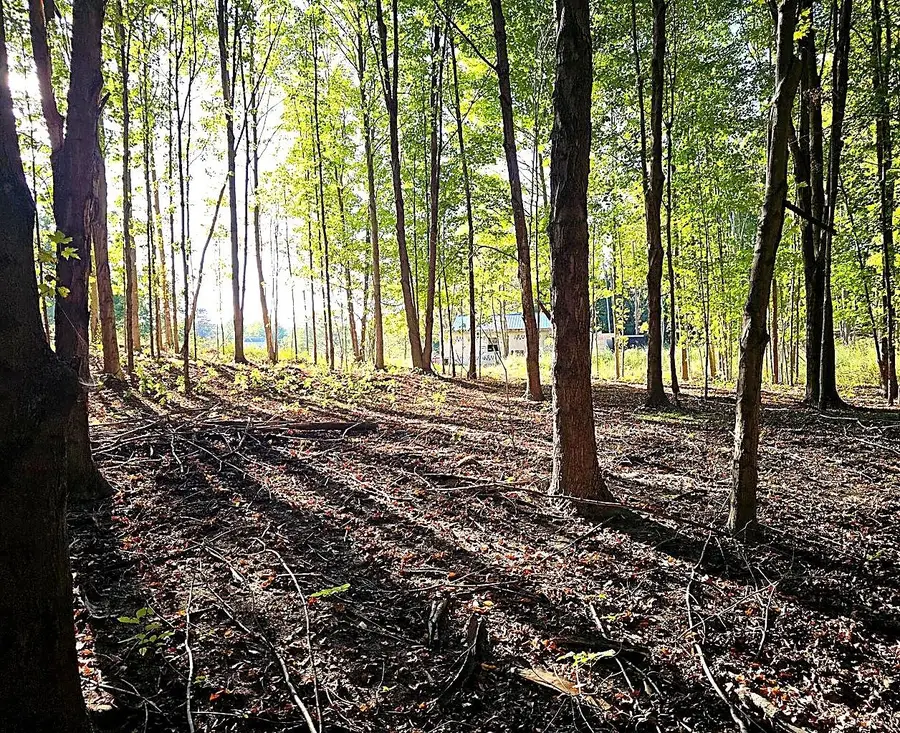 369 County Road 665, Bloomingdale, MI 49026 - #2