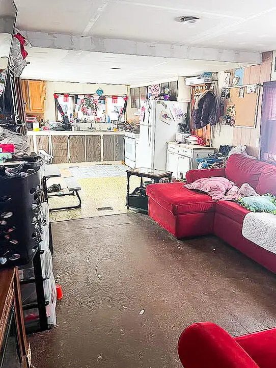 1055 W Main Street, Mecosta, MI 49332 - #3