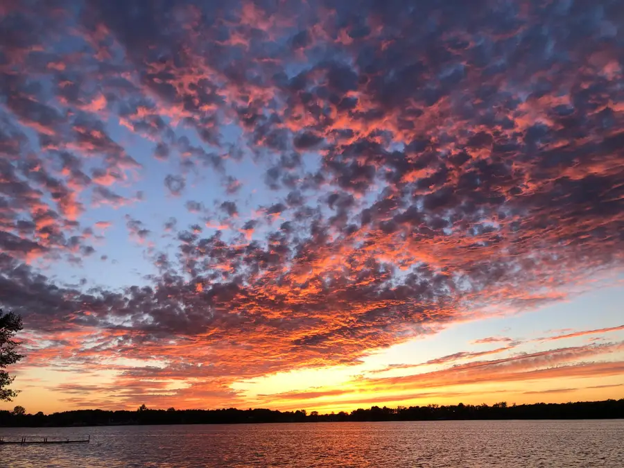 8623 Mohawk Trail, Howard City, MI 49329 - #3