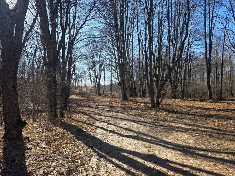 2 Mile Road, Evart, MI 49631 - #3