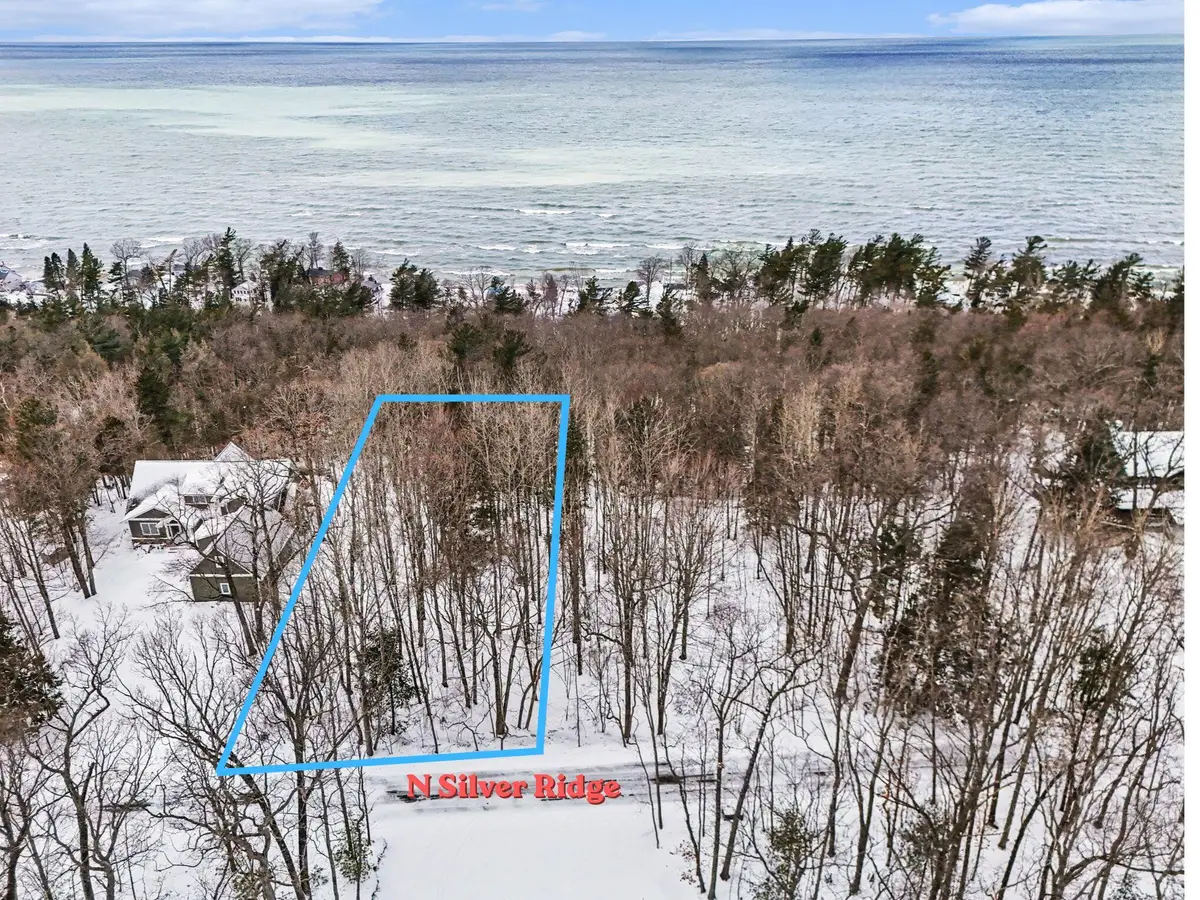 Lot 11 Silver Ridge Road, Mears, MI 49436 - #1