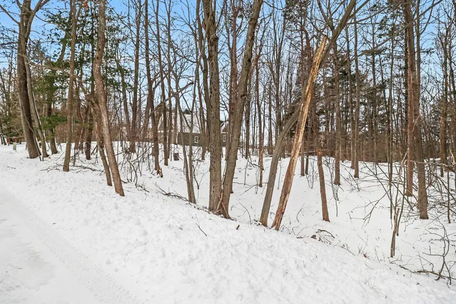 Lot 11 Silver Ridge Road, Mears, MI 49436 - #3
