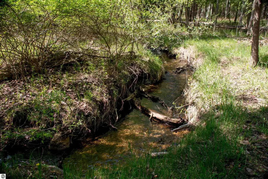 1436 Vanderlip Road, Traverse City, MI 49686 - #2