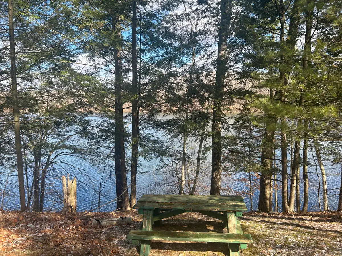 8786 N Island Drive #20-21, Canadian Lakes, MI 49346 - #1