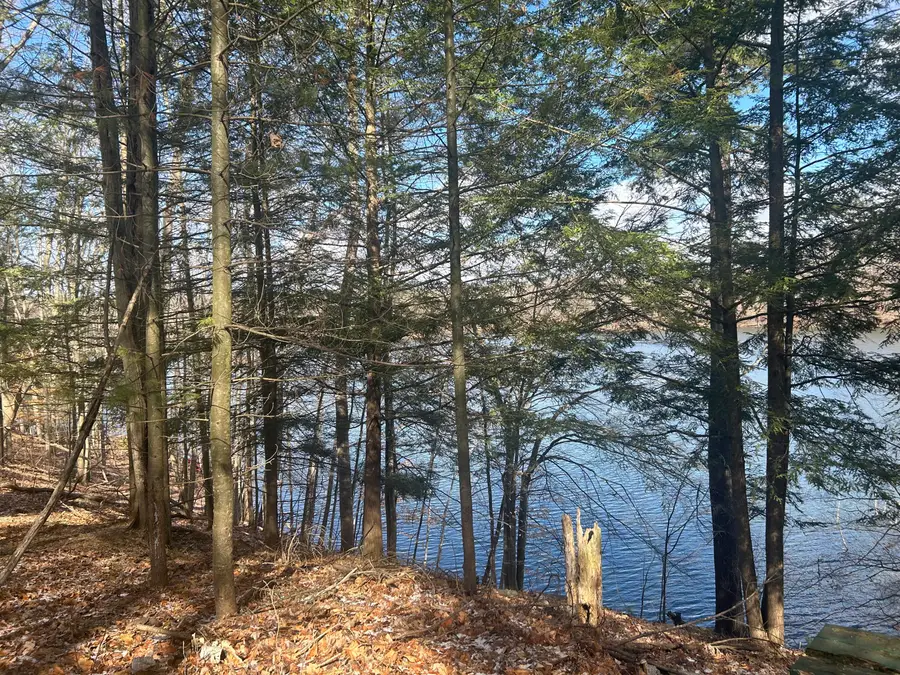 8786 N Island Drive #20-21, Canadian Lakes, MI 49346 - #3