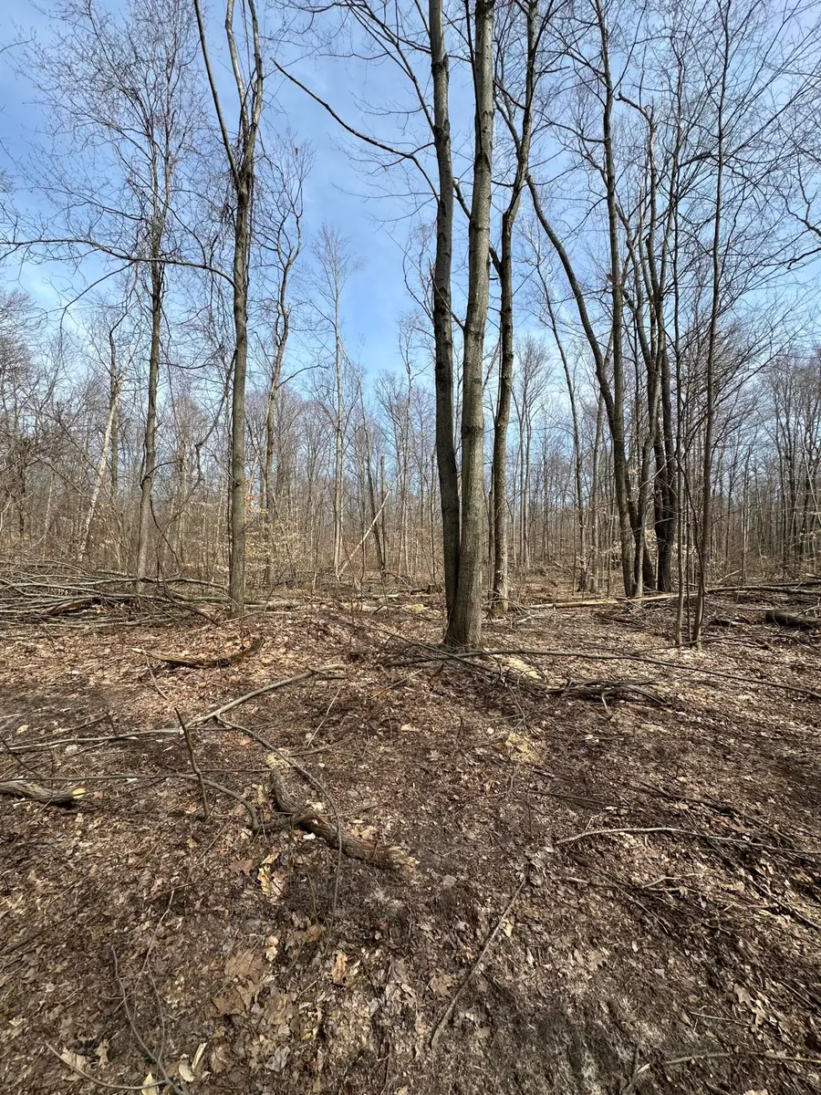 VL Lake Drive, Allegan, MI 49010 - #2