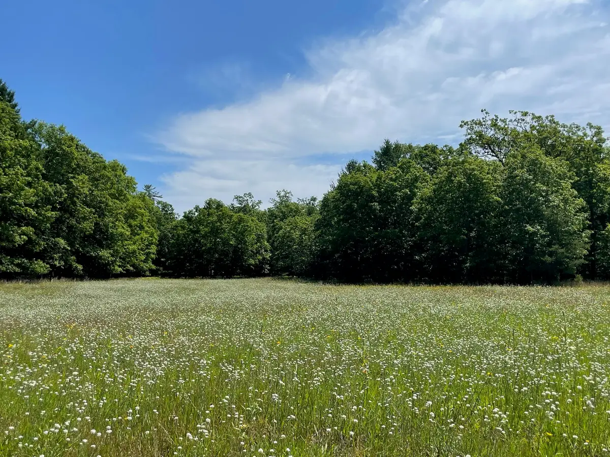 10652 N River Road #E, Irons, MI 49644 - #1