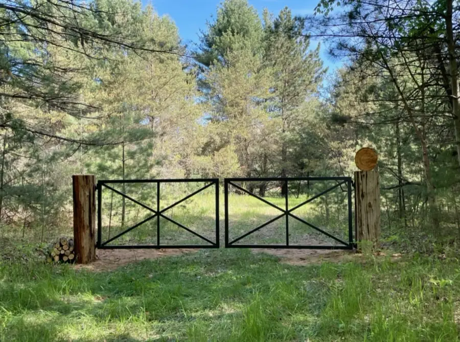 10652 N River Road #E, Irons, MI 49644 - #2