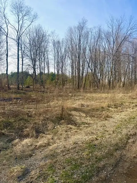 0 21st Street, Hopkins, MI 49328 - #1