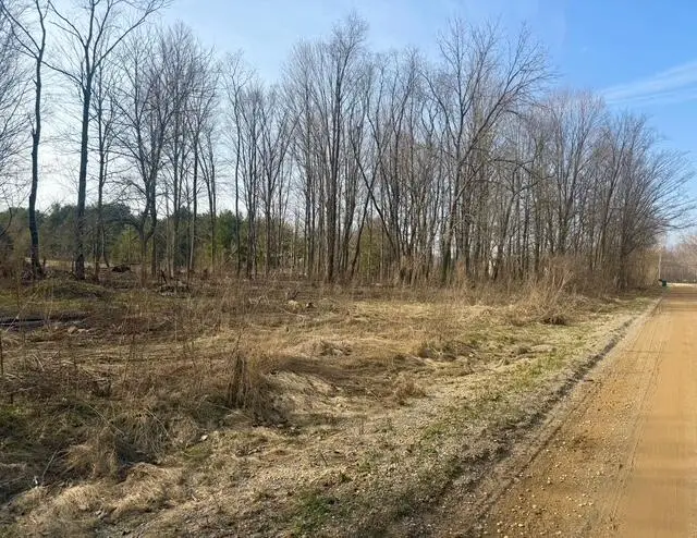 0 21st Street, Hopkins, MI 49328 - #2