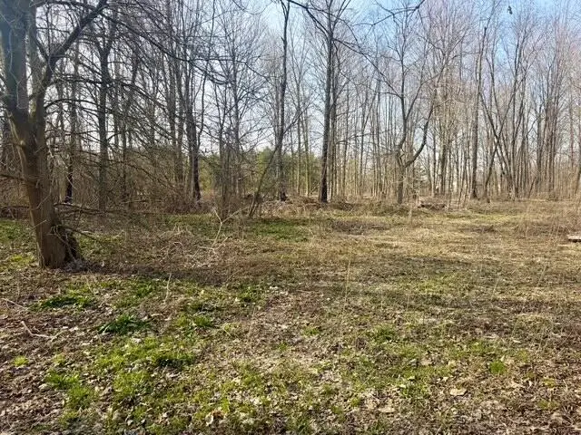 0 21st Street, Hopkins, MI 49328 - #3