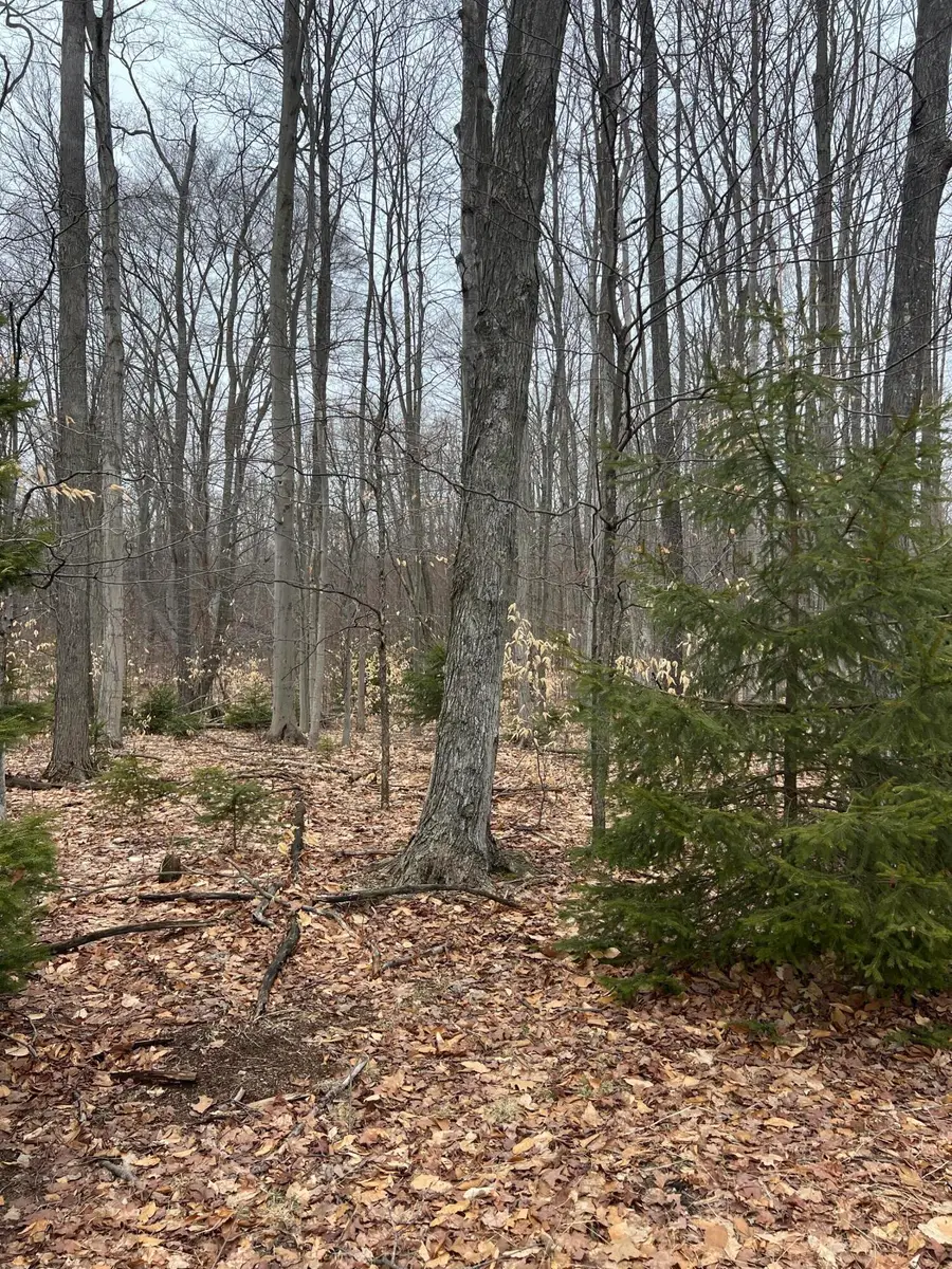 N Dennis Road, Ludington, MI 49431 - #3