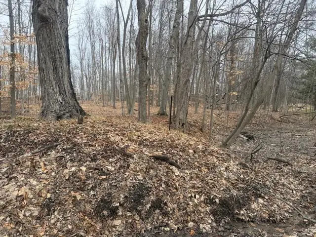 2119 W 116th Street, Grant, MI 49327 - #3