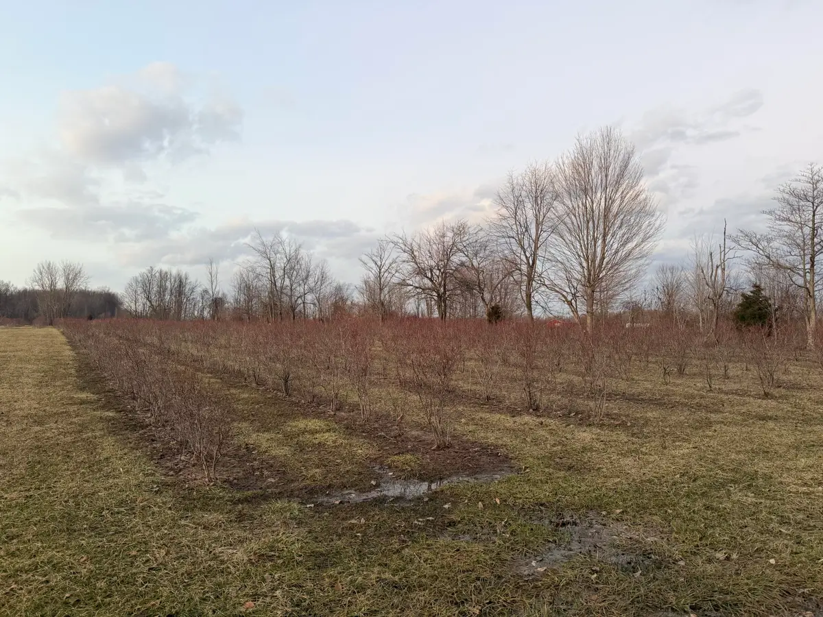 73122 36th Avenue, Covert, MI 49043 - #1