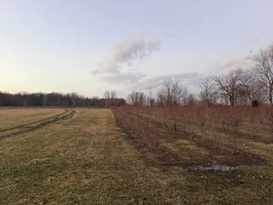 73122 36th Avenue, Covert, MI 49043 - #2