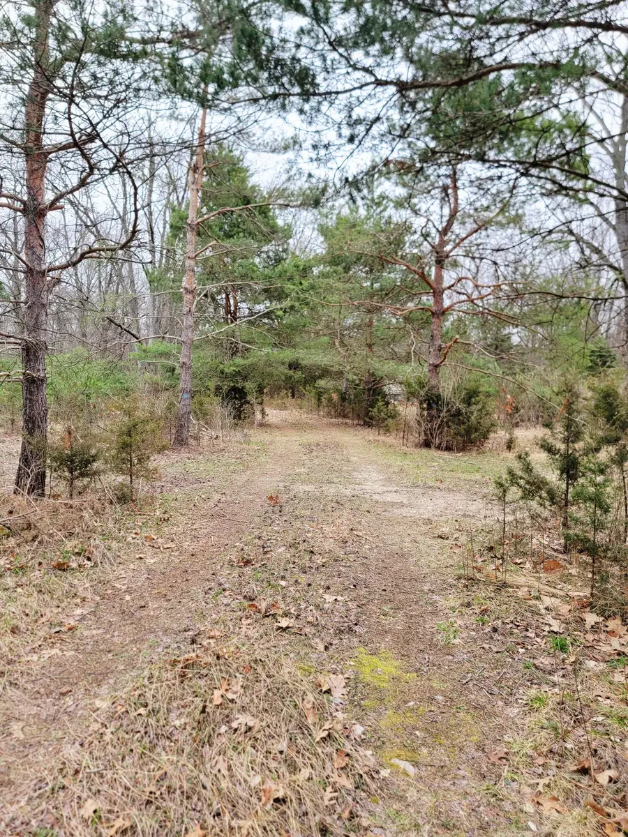 1217 58th Street, Pullman, MI 49450 - #3