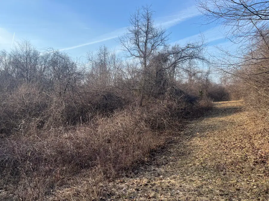 Waterloo Road, Chelsea, MI 48118 - #3