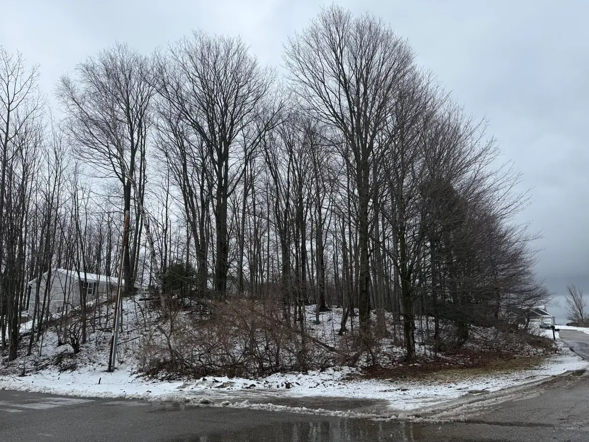 W Snead Drive, Ludington, MI 49431 - #1