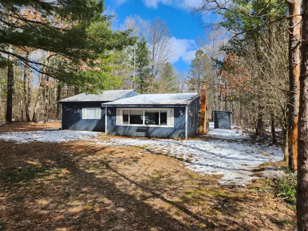 5247 N Access Road, Irons, MI 49644