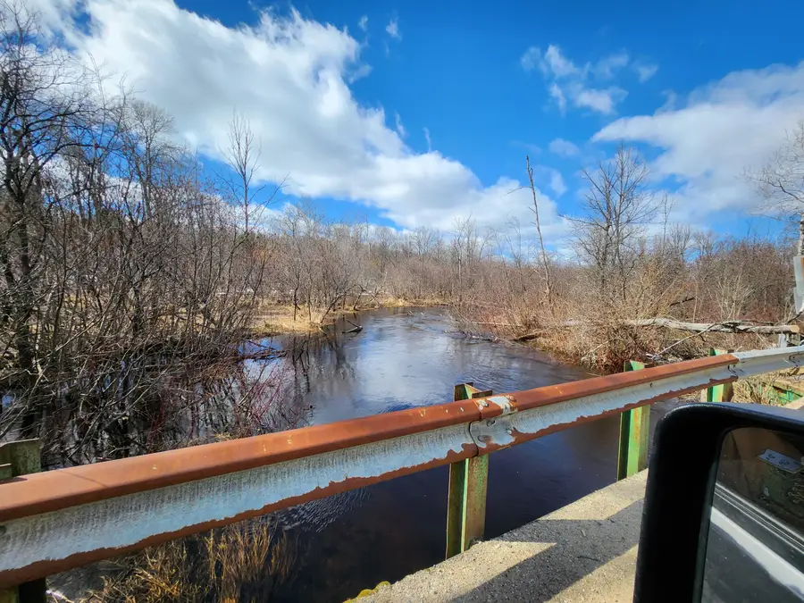 5247 N Access Road, Irons, MI 49644 - #2