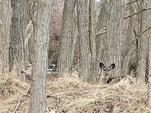 0 Twelfth Street, Manistee, MI 49660