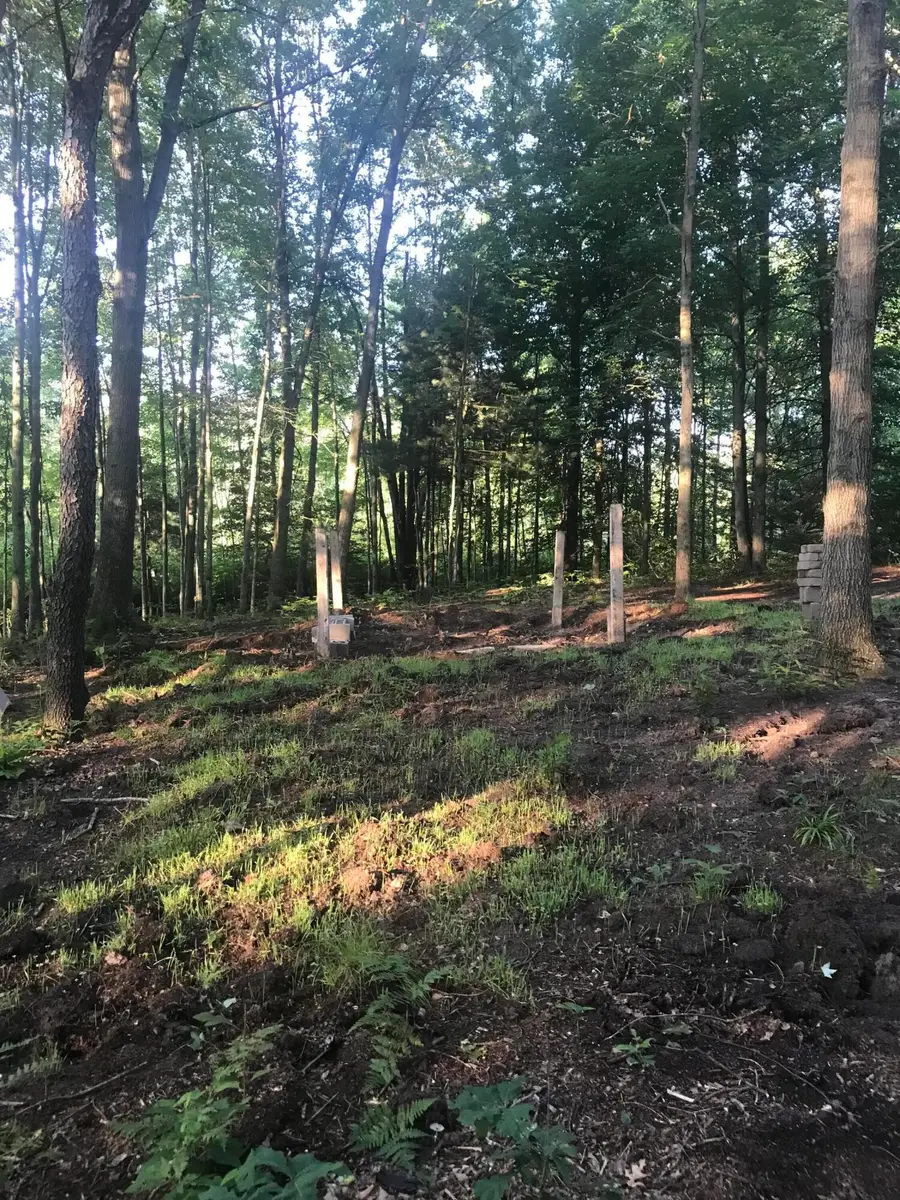 02533 53rd Street, Grand Junction, MI 49056 - #3