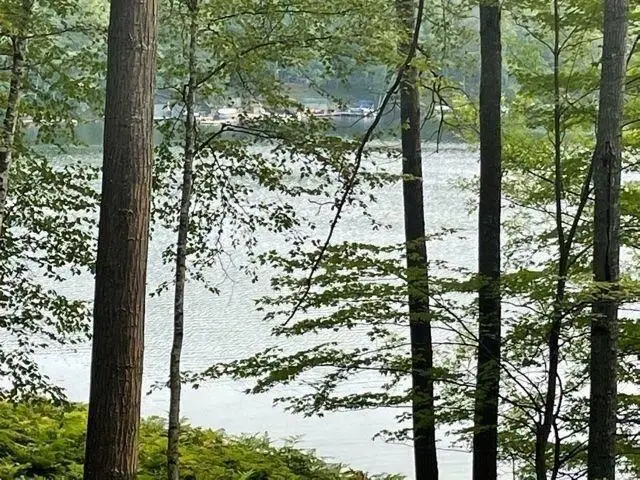 8986 N Royal Road #46, Canadian Lakes, MI 49346 - #2