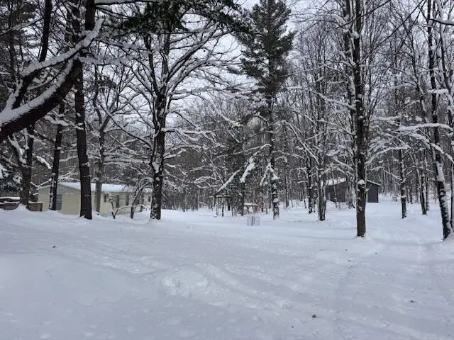 40+/- Acres 48th Street, Chase, MI 49623 - #3