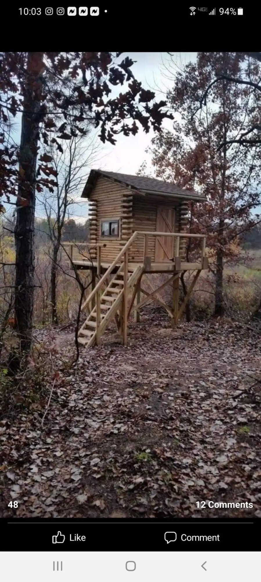 12 Mile Road, Ceresco, MI 49033 - #2