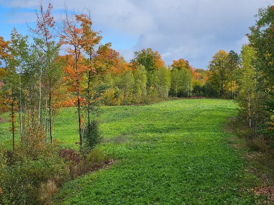 152 acres W Miller Road, Mio, MI 48647 - #2