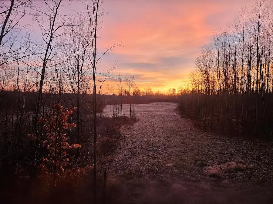 152 acres W Miller Road, Mio, MI 48647 - #3