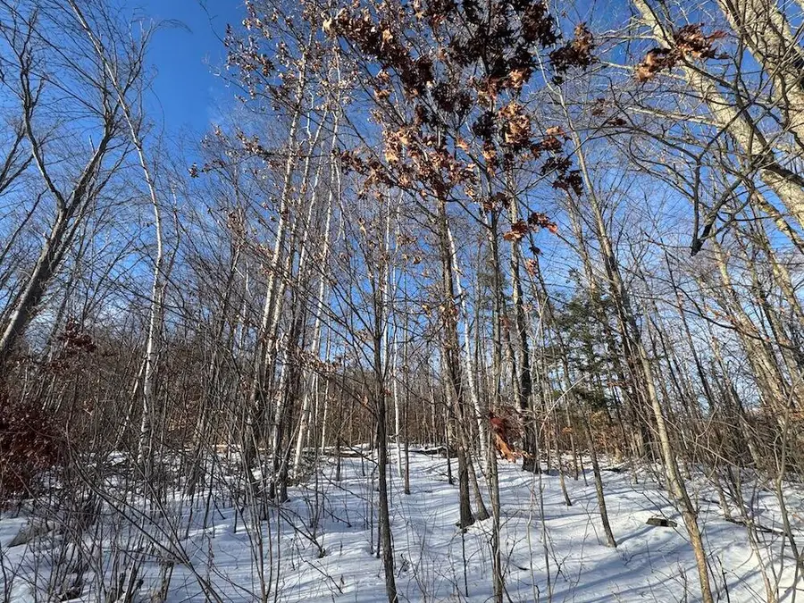 72 acres W Miller Road, Mio, MI 48647 - #2