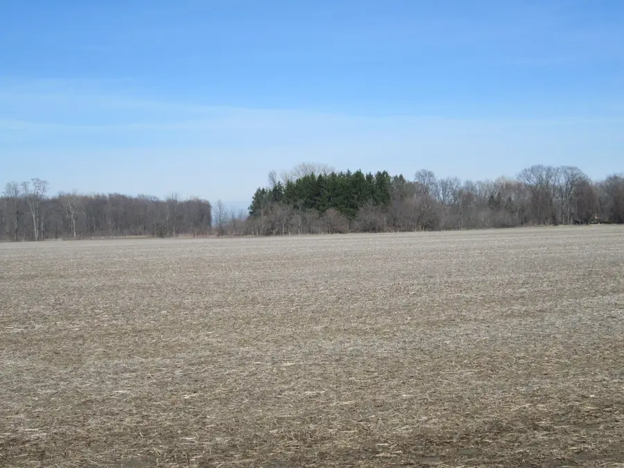 V/L W Lemon Creek Road #4, Baroda, MI 49101 - #2