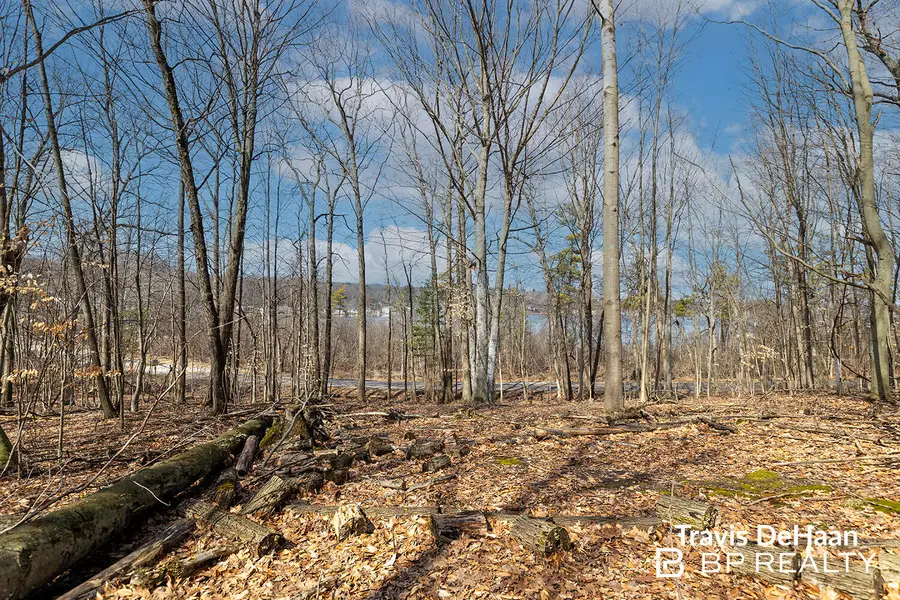 9310 S Benjamin Drive, Newaygo, MI 49337 - #3