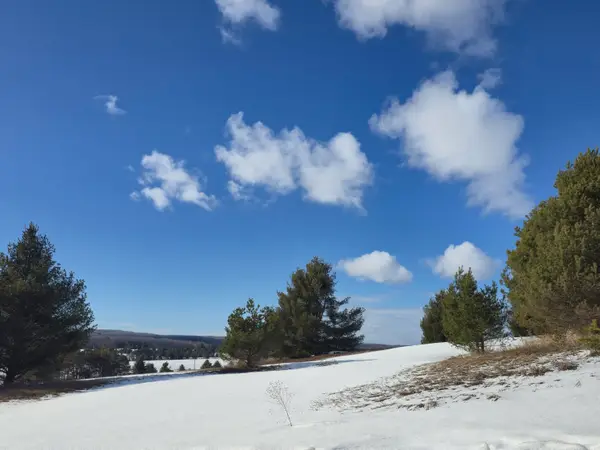 5850 Deer Run Trail, Harbor Springs, MI 49740