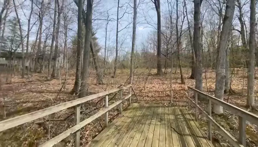 VL Bridge Road, Allegan, MI 49010 - #3