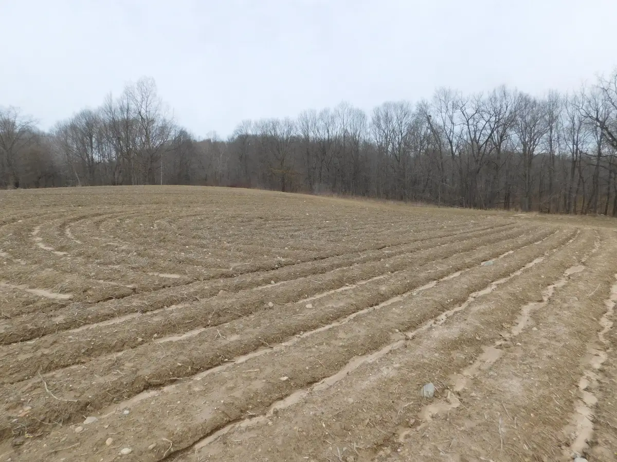 Cox Road, Bellevue, MI 49021 - #1