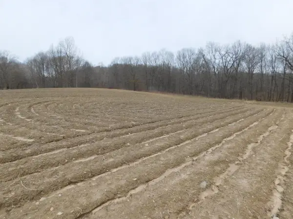 Cox Road, Bellevue, MI 49021