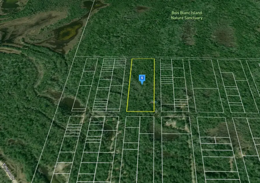 1251 Erie Street, Pointe Aux Pins, MI 49775 - #2