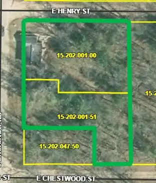 6176 S Broadway Street, Idlewild, MI 49642 - #2