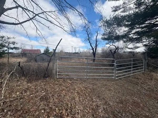 4 Mile Road, Evart, MI 49631