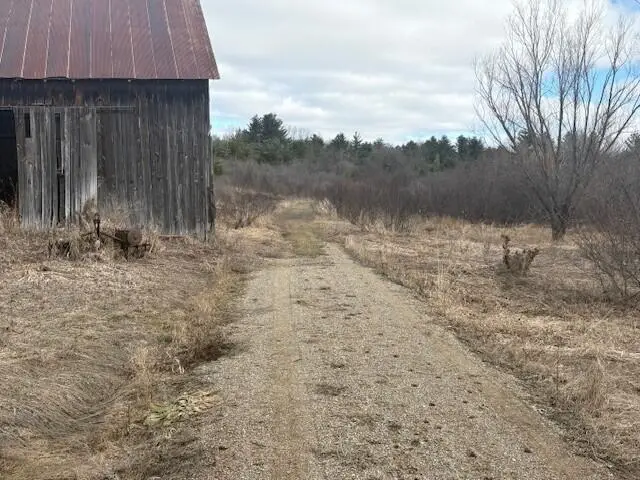 4 Mile Road, Evart, MI 49631 - #3