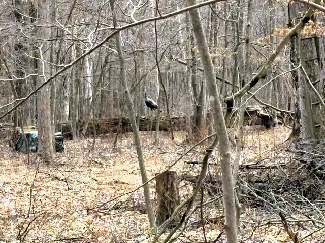 V/L W Prairie Road, Midland, MI 48640 - #2