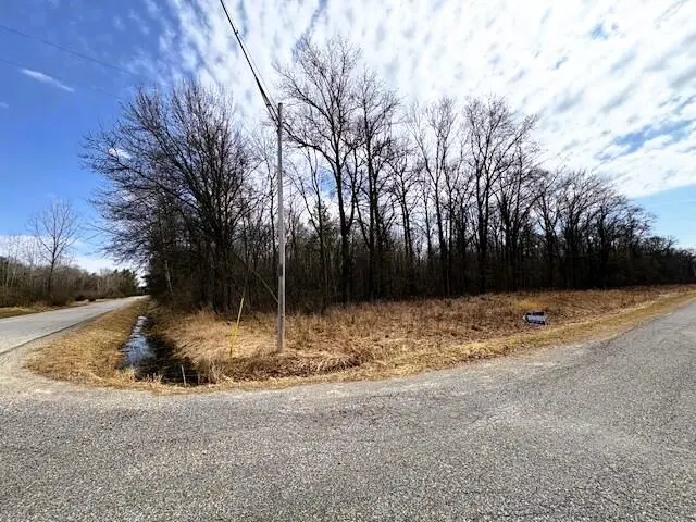 V/L W Prairie Road, Midland, MI 48640 - #3