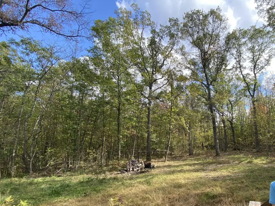 11643 N Willow Road, Bitely, MI 49309 - #2